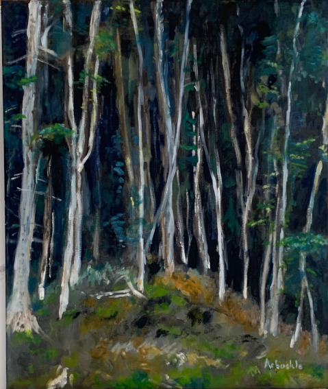 Forest Scene #2 - Near Zurich